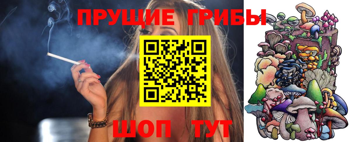 Десногорск  Галлюциногенные грибы мицелий  Вход с VPN 